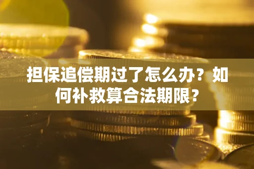 济南担保追偿期过了怎么办？如何补救算合法期限？