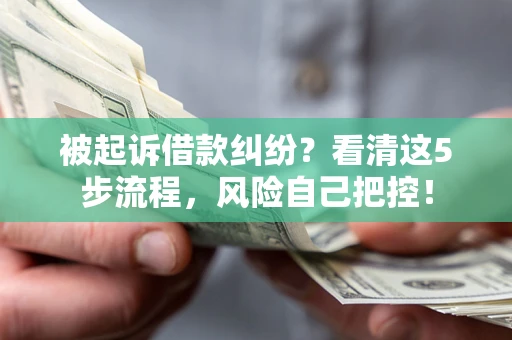 济南被起诉借款纠纷？看清这5步流程，风险自己把控！